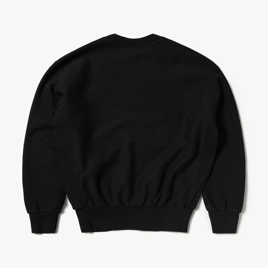 ARIES Premium Temple Sweatshirt Black【AR20000.01】