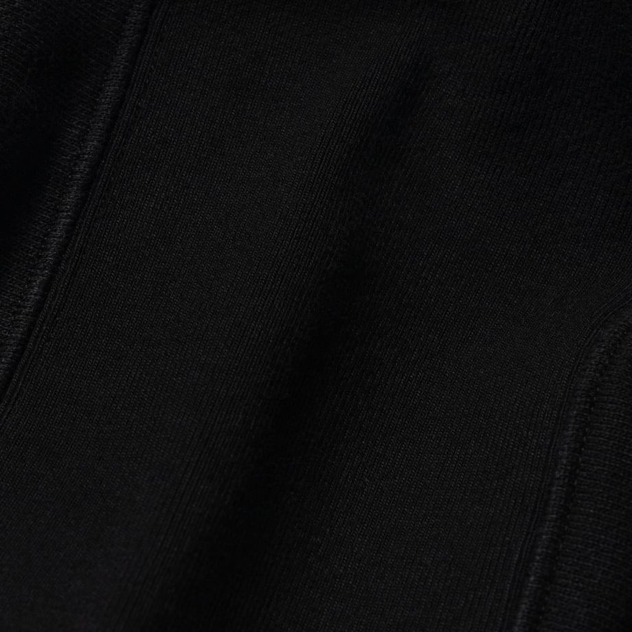 ARIES Premium Temple Sweatshirt Black【AR20000.01】