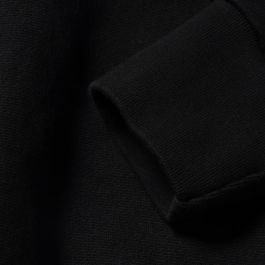 ARIES Premium Temple Sweatshirt Black【AR20000.01】