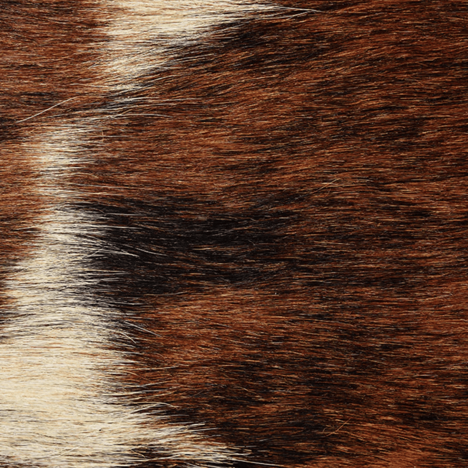 beta post mini purse natural【B02W CO-03P】(N)