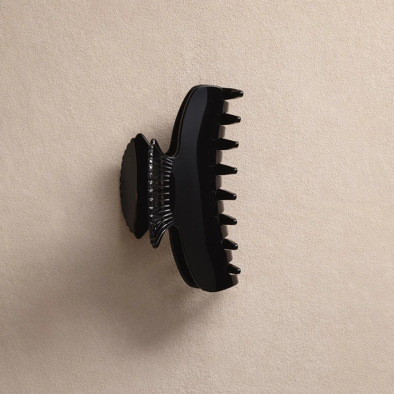 Fan Shell Claw Noir　正面