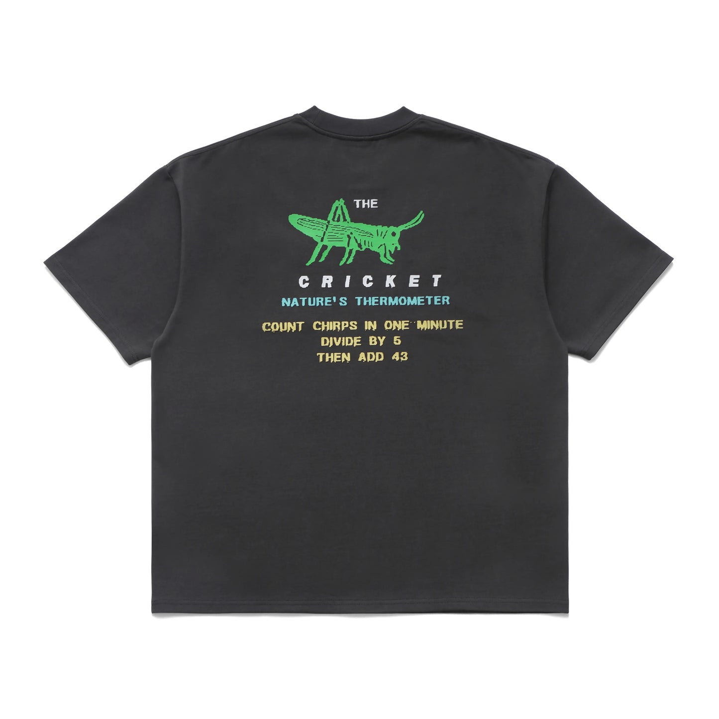 METALWOOD STUDIO CRICKET HEAVY POCKET T-SHIRT Tar 背面