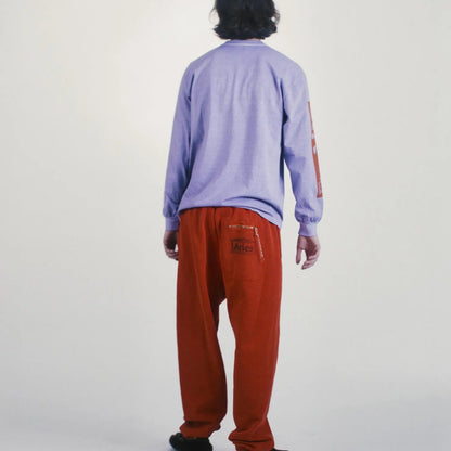 Faded Wingdings LS Tee Purple - ARIES 着用背面