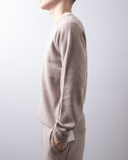 MEIAS Wool Cashmer V Neck PO T.Beige 着用イメージ 側面