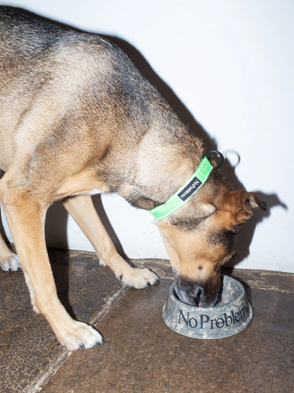No Problemo No Problemo Pet Bowl Camo【NP90900.06】(N) 使用例写真