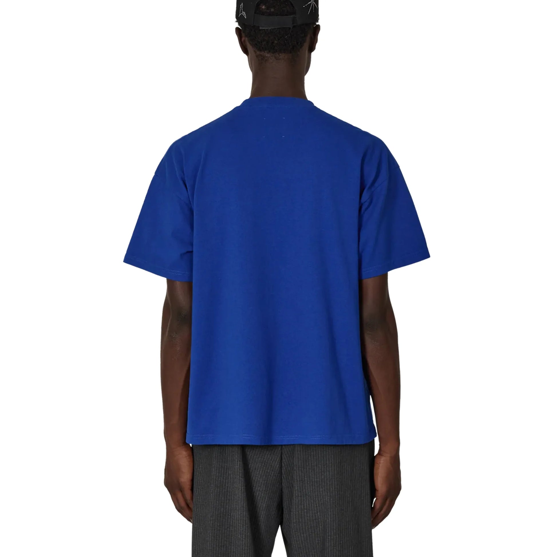 ROA Cold T-Shirt Blue 着用イメージ バックシルエット