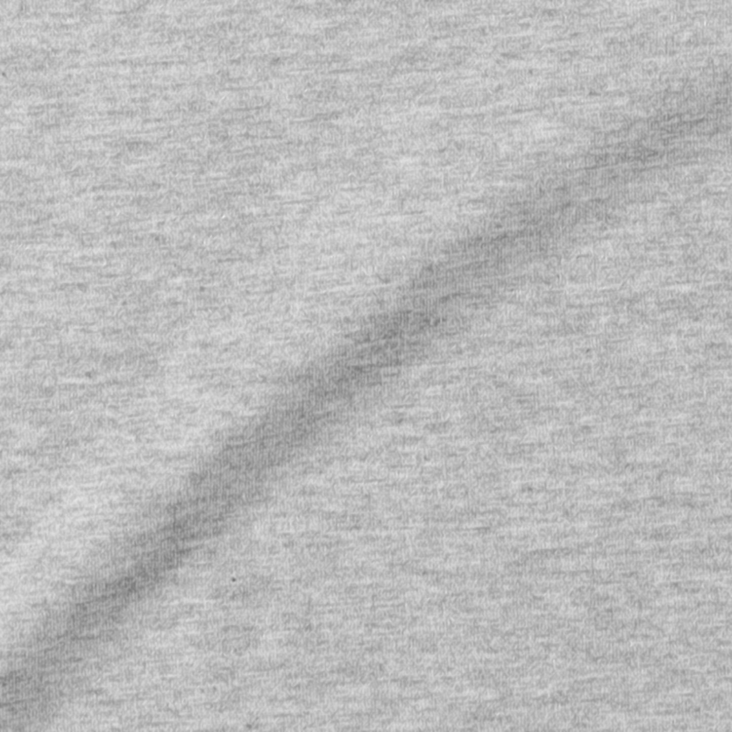 S.F.C RICH SUPER BIG SS TEE Grey M【SFCSS26CS11】(N)